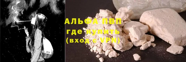 твердый Новодвинск