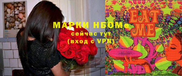 твердый Новодвинск