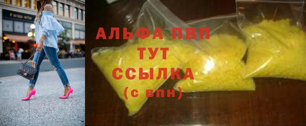 твердый Новодвинск