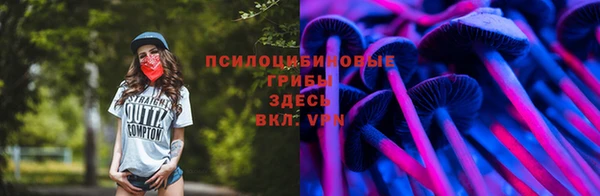 твердый Новодвинск