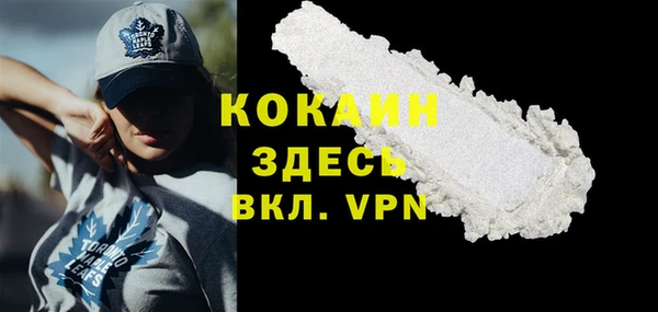 твердый Новодвинск