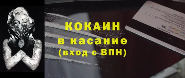 твердый Новодвинск