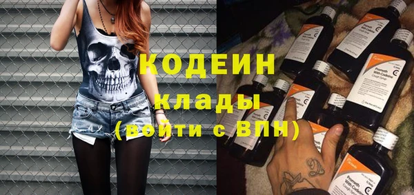 твердый Новодвинск