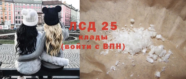 твердый Новодвинск