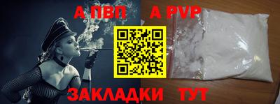 стафф Донской