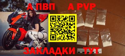 стафф Донской