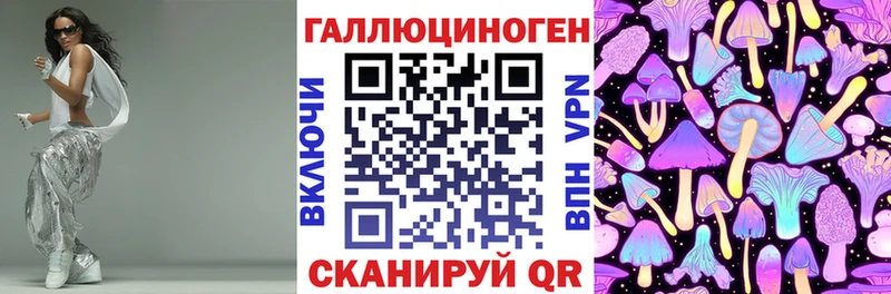 Галлюциногенные грибы Psilocybine cubensis  Кингисепп 