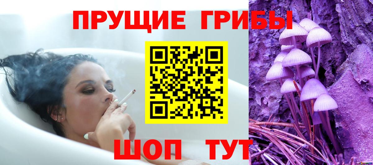 купить   Галлюциногенные грибы мицелий  Вход с VPN  Кингисепп  Псилоцибиновые грибы MAGIC MUSHROOMS 