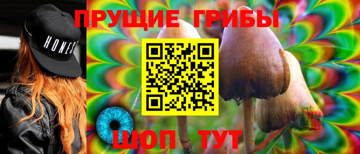 Псилоцибиновые грибы GOLDEN TEACHER Кингисепп