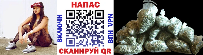 Марихуана сатива  Кингисепп 