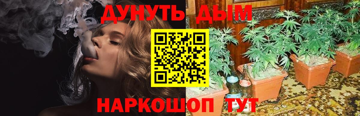 Конопля индика  Вход с VPN  Бошки Шишки сатива  Кингисепп  Канабис гибрид 
